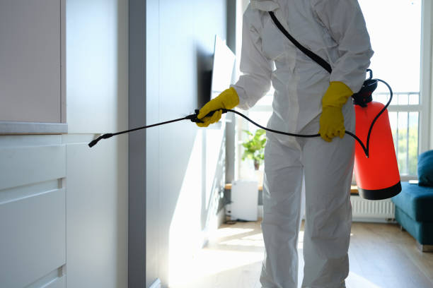 Mold Remediation for Rental Properties in Morton, MS